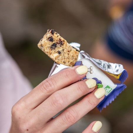 Meltonic -   Cereal bar - Blueberry