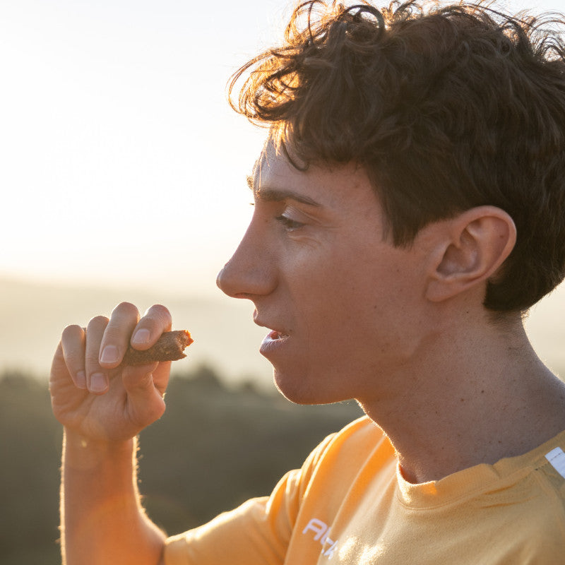 Meltonic - 有機草莓檸檬能量棒