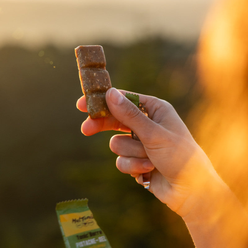 Meltonic - 有機堅果能量棒，含開心果和海鹽