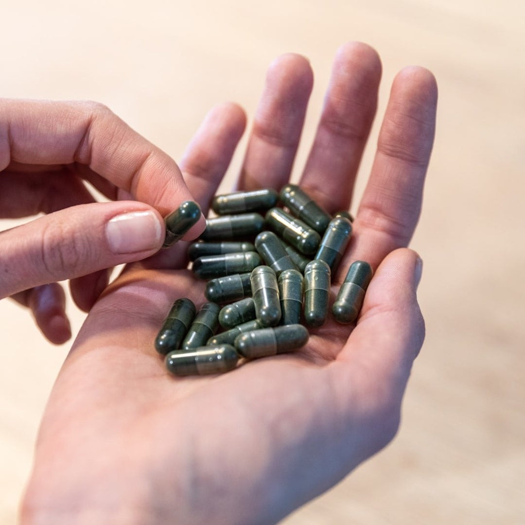 Meltonic - 有機螺旋藻補充品